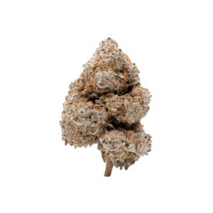 Lucky Farms – Black Domino