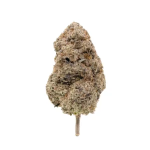 Home Lucky Farms Donkey Butter for sale near Los Angeles