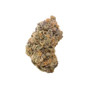 Jungle Ridge – Scotty 2 Hotty