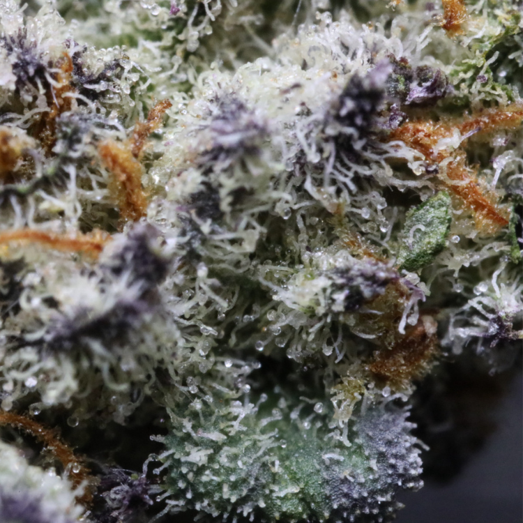 kushmints-macro.png MuM’s Cannabis – Kush Mints (Smalls) - Image 3